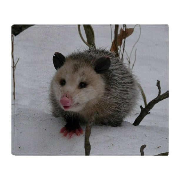 CafePress Opossum Possum Animal Cap Baseball Cap